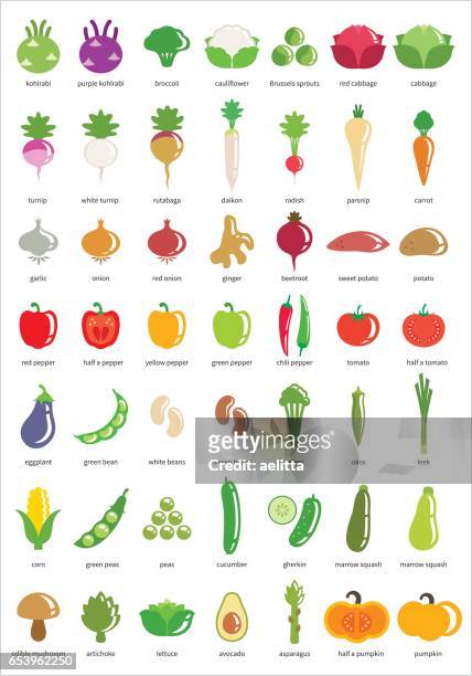 illustrazioni stock, clip art, cartoni animati e icone di tendenza di icone vegetali - grande set di quarantanove icone vettoriali - celery