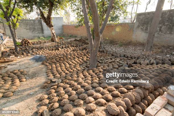 manure cakes - punjab india stock pictures, royalty-free photos & images