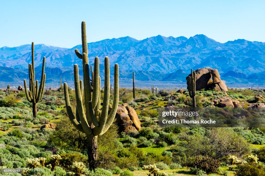 Across the Arizona desert toward the mountains