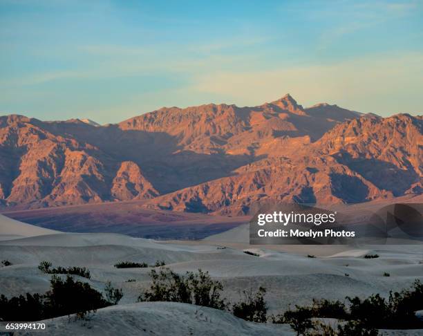 mesquite flat sand dunes at sunset-panorama - mesquite flat dunes stock pictures, royalty-free photos & images