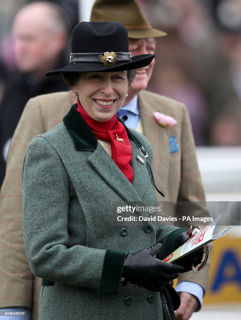 2017 Cheltenham Festival - St Patrick's Thursday - Cheltenham Racecourse