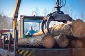 Crane unloading logs