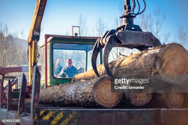 crane unloading logs - depósito de madeiras imagens e fotografias de stock