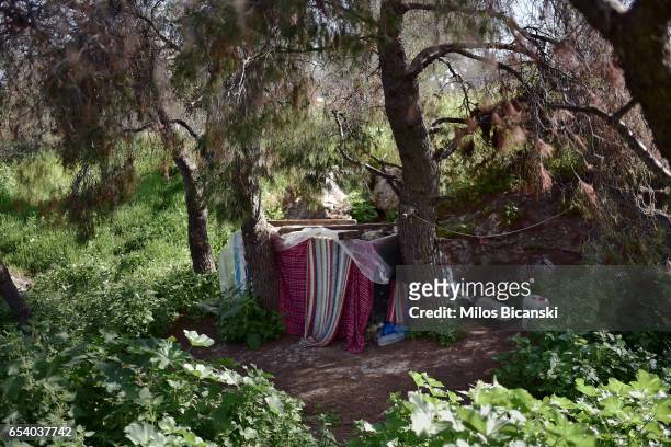 Homeless shelter in one of main Athens parks March 10, 2017 in Athens, Greece. Greece has introduced 13 austerity packages since February 2010 and...