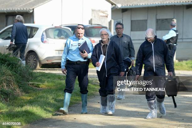 Inspectors of the DDPP leave a pig farm in Pouldreuzic, western of France, on March 15, 2017 following allegations of animal abuse by the animal...