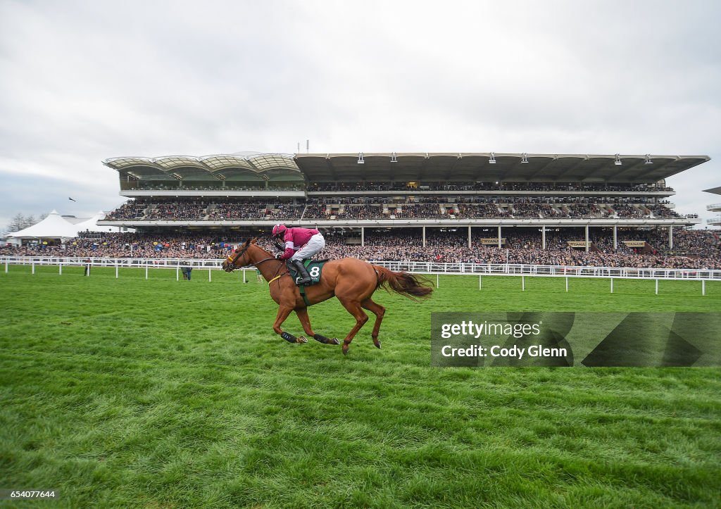 Cheltenham Racing Festival - St Patrick's Thursday