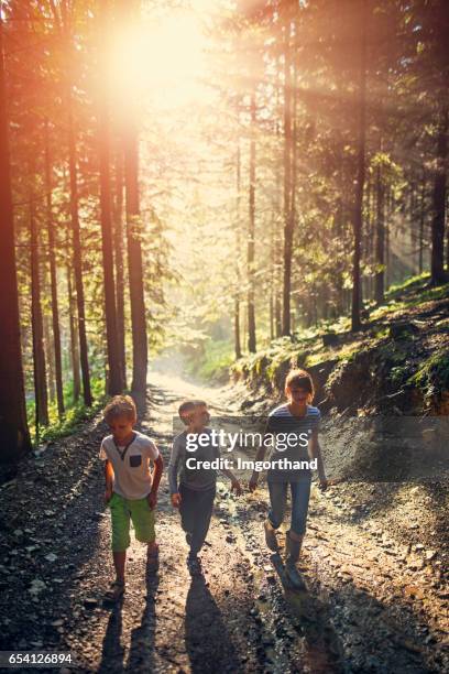 kids walking in forest after rain - forest walking front stock pictures, royalty-free photos & images