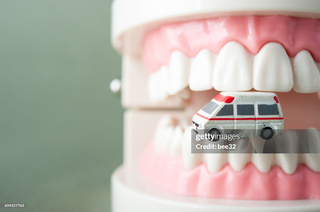 Model of teeth and miniature ambulance