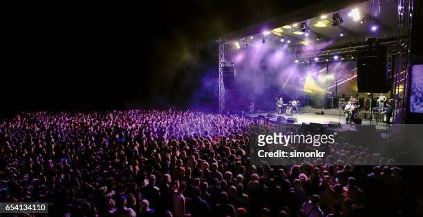 音樂演唱會 - music festival crowd 個照片及圖片檔