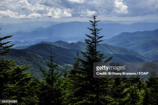 view from clingman's dome - brittany branson photos et images de collection