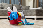 Cleaning service. Sponges, chemicals and mop.