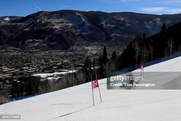 Christine Scheyer of Austria competes in the ladies' Super-G during the Audi FIS Ski World Cup Finals at Aspen Mountain on March 16, 2017 in Aspen,...