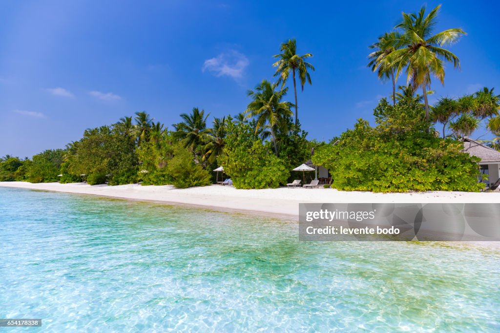 Maldives paradise beach. Perfect tropical island. Beautiful palm trees and tropical beach. Moody blue sky and blue lagoon. Luxury travel summer holiday background concept.