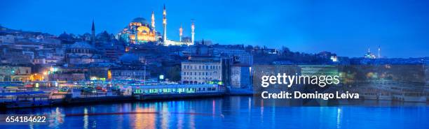 suleymaniye mosque and golden horn - paisaje urbano stockfoto's en -beelden