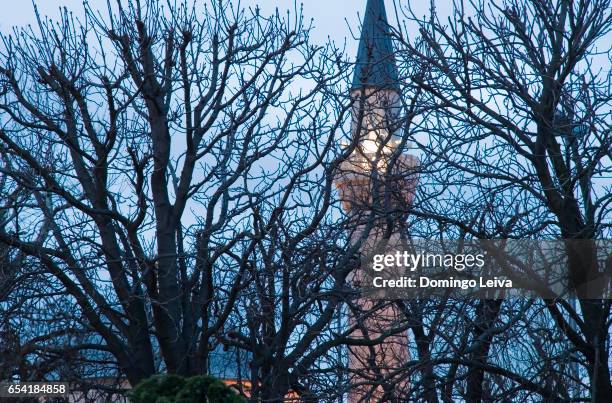 sultan ahmed mosque, islanbul, turkey - paisaje urbano stockfoto's en -beelden