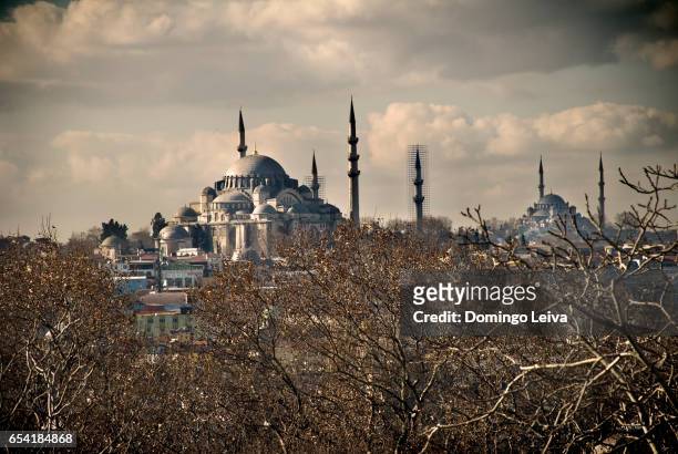 sultan ahmed mosque, islanbul, turkey - espiritualidad ストックフォトと画像