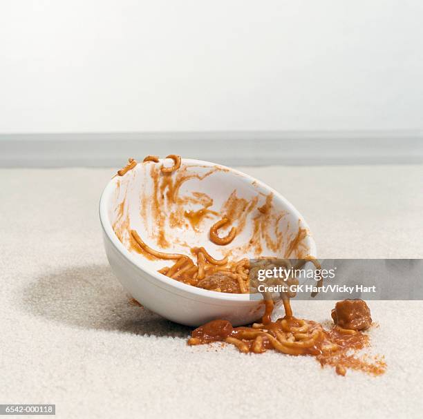 bowl of spaghetti on carpet - spilling bildbanksfoton och bilder