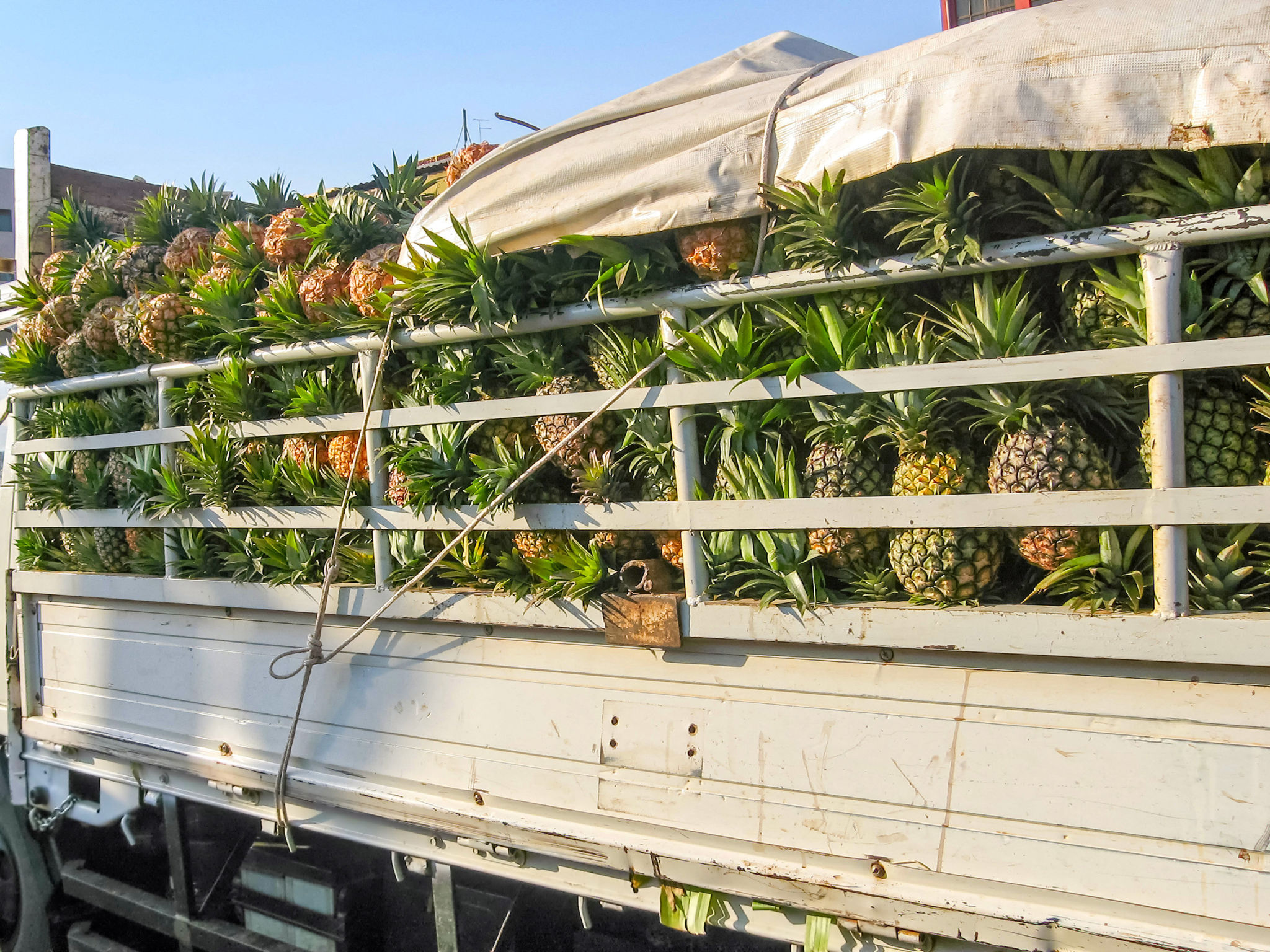 uganda logistics