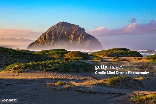 morning by the rock - california seascape stock pictures, royalty-free photos & images