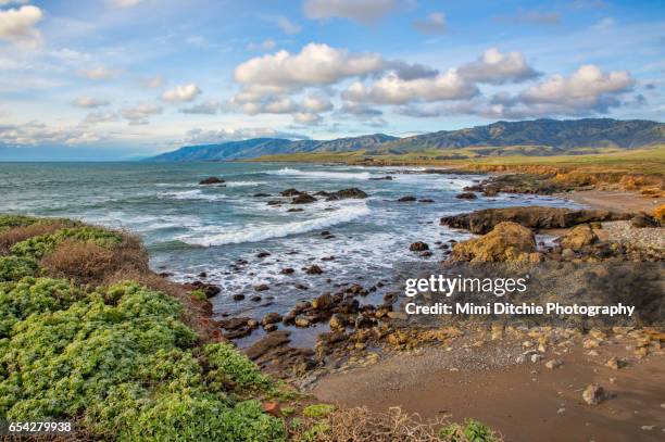 california highway 1 vista - piedras blancas lighthouse stock pictures, royalty-free photos & images