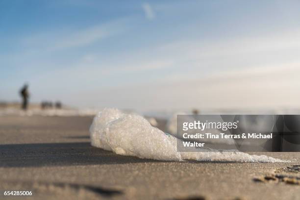 sylt/wenningstedt - tina terras michael walter stock pictures, royalty-free photos & images