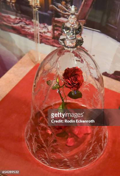 Magical rose movie prop at opening night of Disney's "Beauty And The Beast" at El Capitan Theatre on March 16, 2017 in Los Angeles, California.