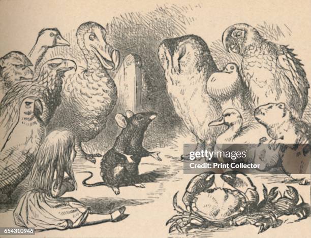 Illustration for the chapter a Caucus-Race and a long tail. Alice and various creatures, such as a crab, owl, parrot, duck and mouse, 1889. Lewis...