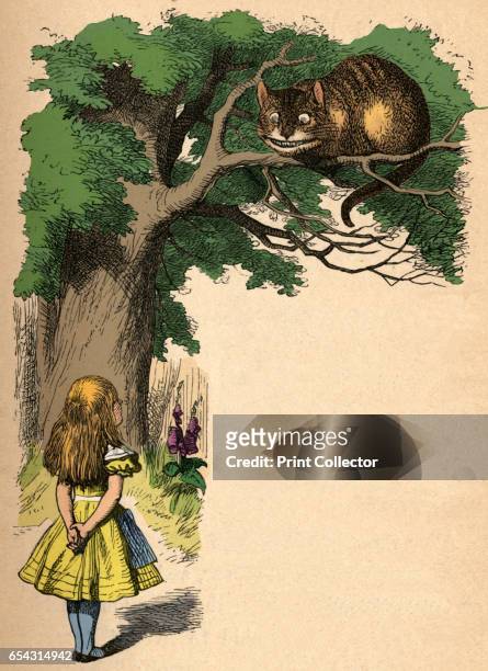 Alice and the Cheshire Cat, 1889. Lewis Carrolls Alice in Wonderland as illustrated by John Tenniel . From Alices Adventures in Wonderland by Lewis...