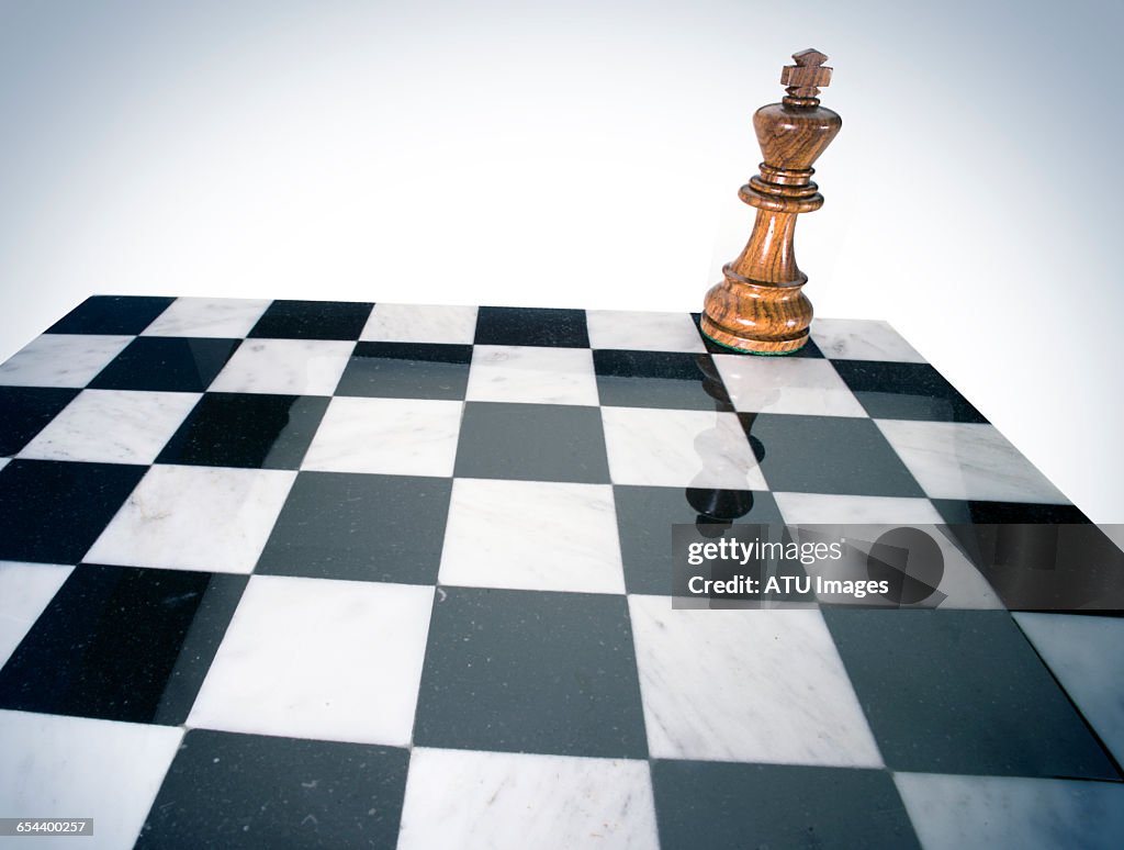 Chess king alone