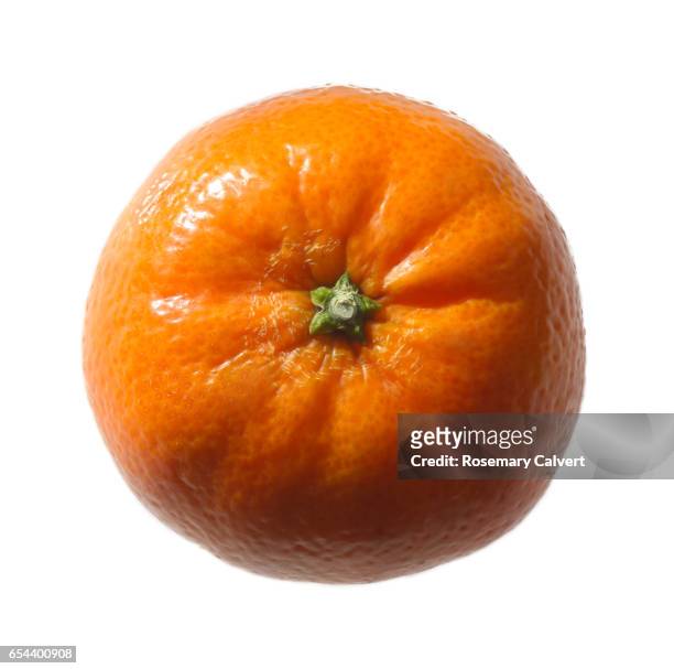 satsuma from above on a white background. - tangerine stock pictures, royalty-free photos & images