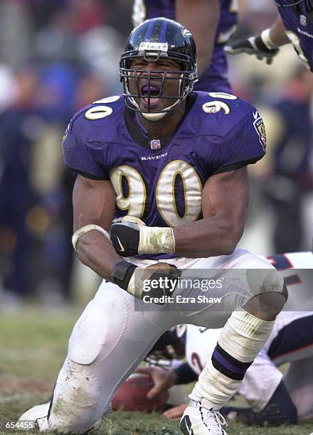 Rob Burnett of the Baltimore Ravens celebrates after he sacked Gus Frerotte of the Denver Broncos in the fourth quarter of the AFC Wildcard playoff...