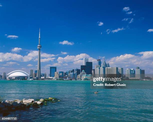 toronto skyline - canada skyline stock pictures, royalty-free photos & images