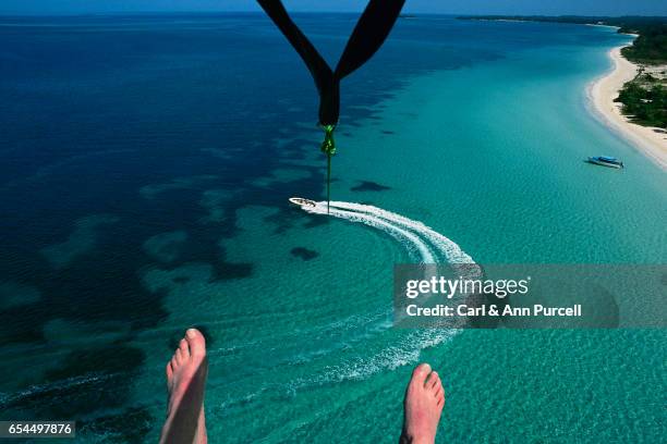 a parasailer's view while in the air - parasailing stock pictures, royalty-free photos & images