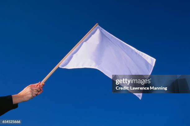 white flag: last lap - white flag stock pictures, royalty-free photos & images