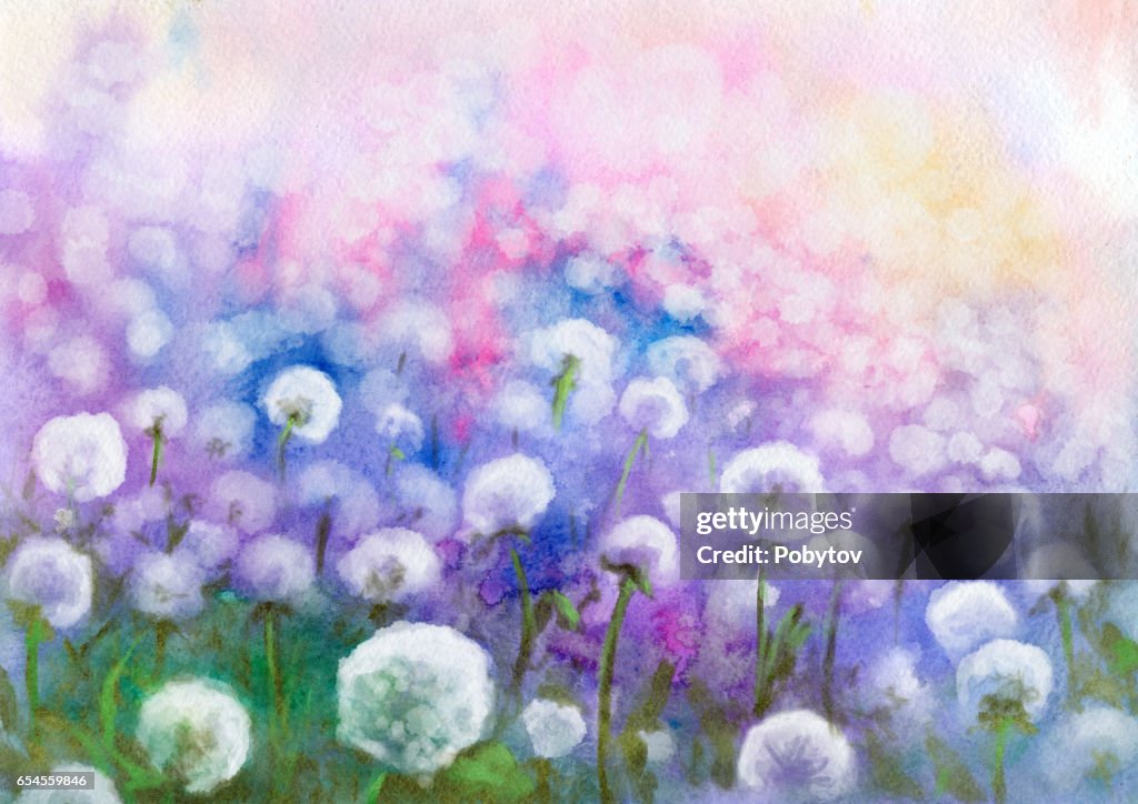 Field of dandelions, watercolor painting