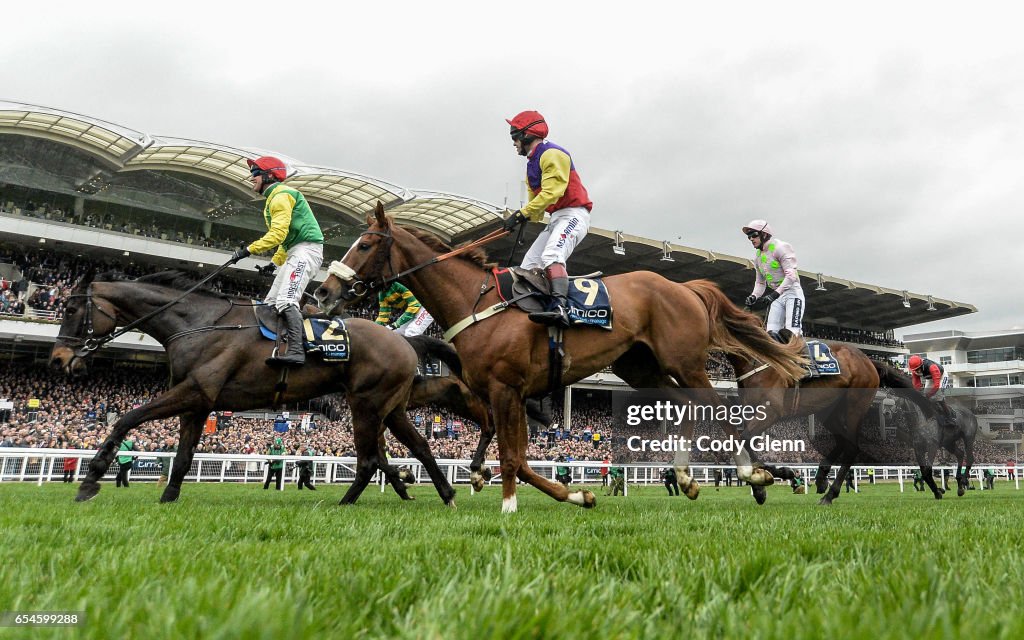 Cheltenham Racing Festival - Gold Cup Day