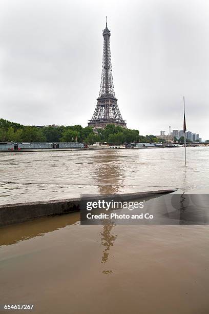 paris flooded, eiffel tower - paris flood stock pictures, royalty-free photos & images