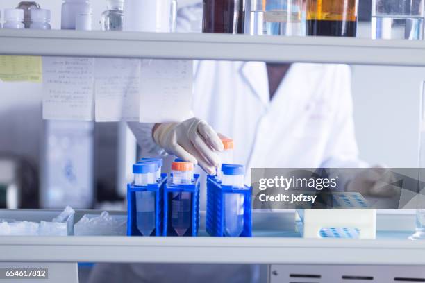 lab researcher working in the lab - test strip stock pictures, royalty-free photos & images