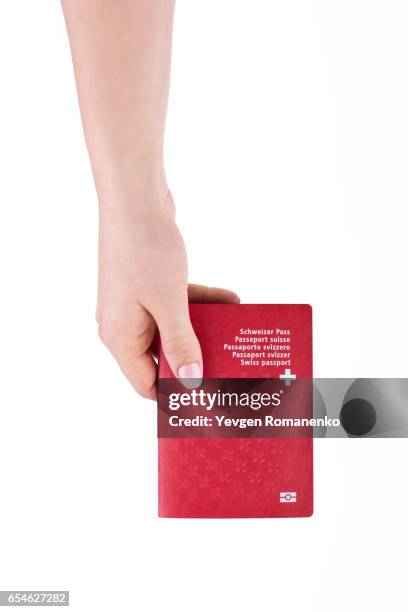 woman's hand holding national swiss passport on a white background - ravenala madagascariensis stock pictures, royalty-free photos & images