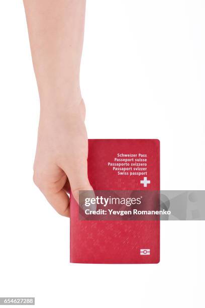 woman's hand holding national swiss passport on a white background - ravenala madagascariensis stock pictures, royalty-free photos & images