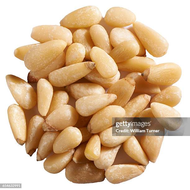pine nuts in a circle on white background - pine nut stock pictures, royalty-free photos & images