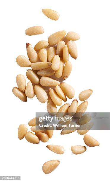 pine nuts on white background - pine nut stock pictures, royalty-free photos & images