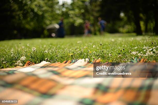 picnic blanket on grass in park - pique nique photos et images de collection