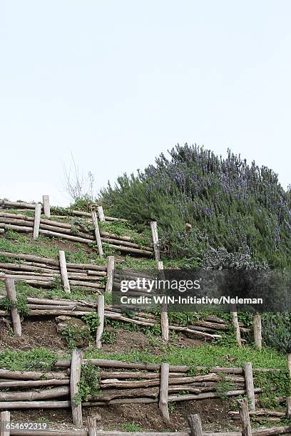 wooden retaining wall in a garden - wood retaining wall stock pictures, royalty-free photos & images