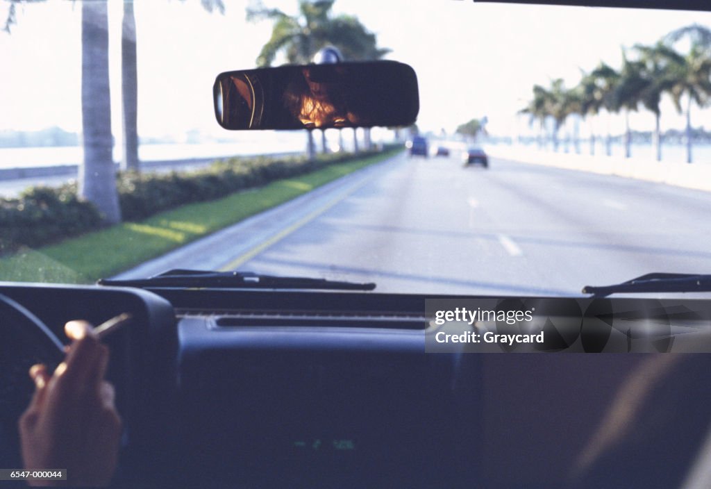 View Through Windshield