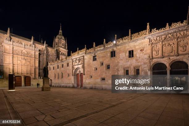 facade of the university of salamanca dating back to the xiiith century. - fachada arquitectónica stock-fotos und bilder