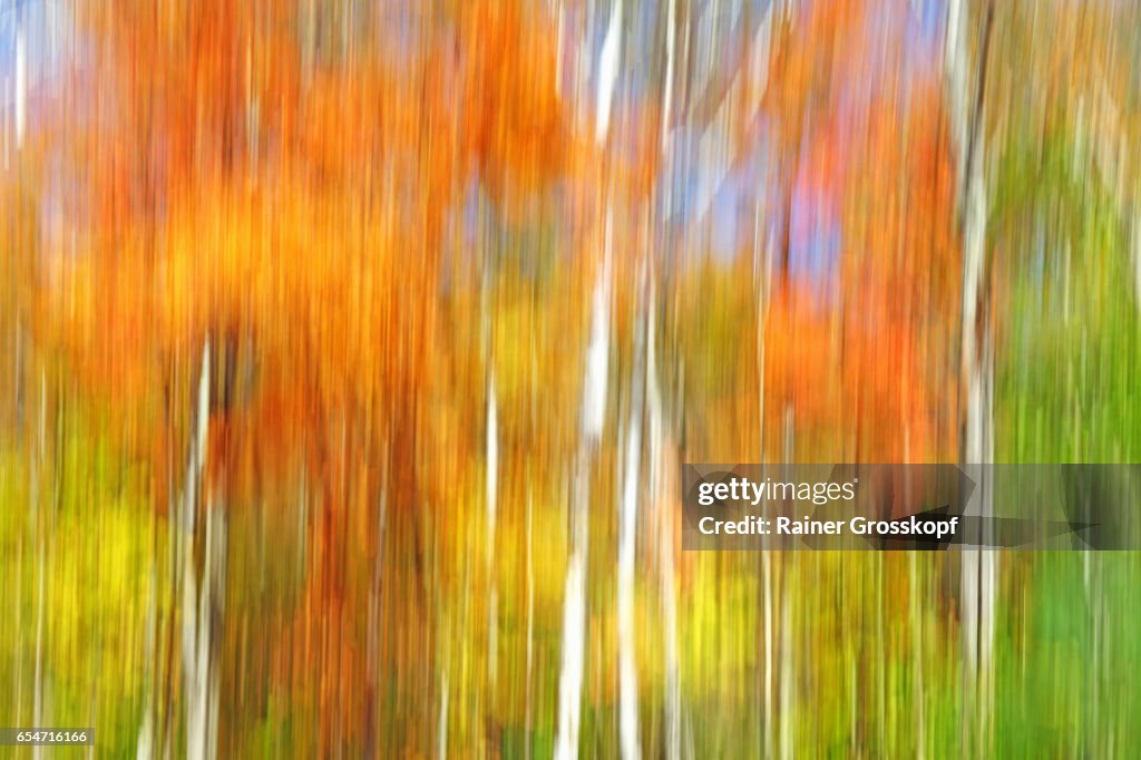 Indian Summer (blurred)