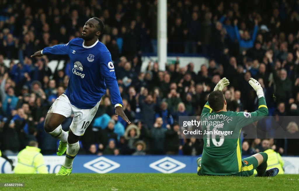 Everton v Hull City - Premier League