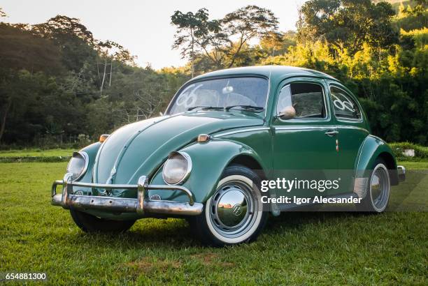 verde volkswagen escarabajo o bug - volkswagen escarabajo fotografías e imágenes de stock