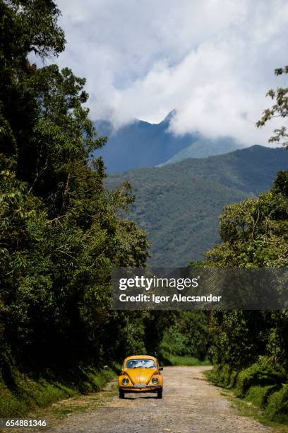 bettle, itatiaia national park, brazil - beetle car stock pictures, royalty-free photos & images